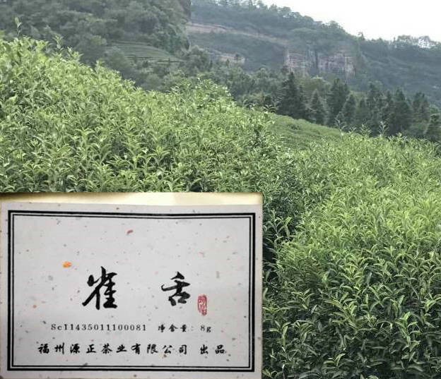 雀舌