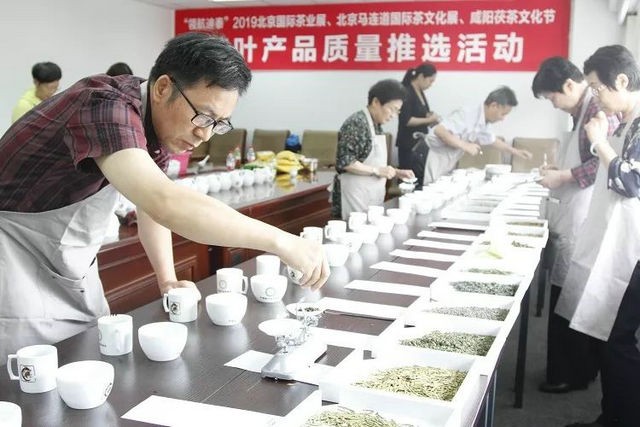 2019年“两展一节”茶叶产品质量推选活动顺利开始