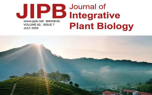 福莲茶庄园：登上国际一流植物、生物学研究期刊JIPB封面