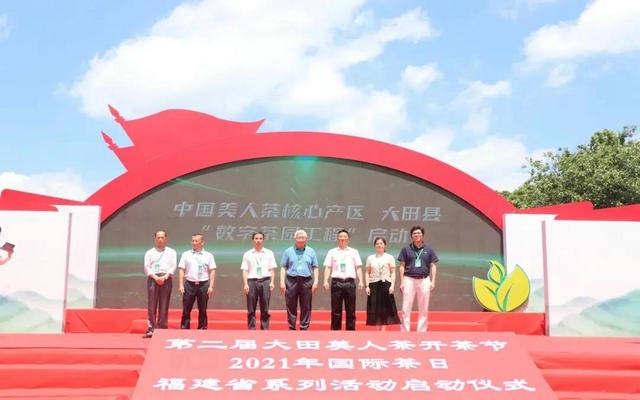 福建大田美人茶鸣锣开茶，一起来感受茶韵乡情