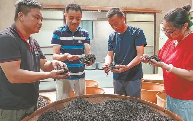 武夷山市茶叶学会专家到武夷山市洋庄乡吴三地茶厂传授焙茶技艺