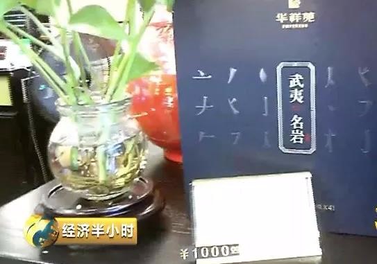 1斤武夷岩茶520万元！央视重磅调查福建“天价”茶！