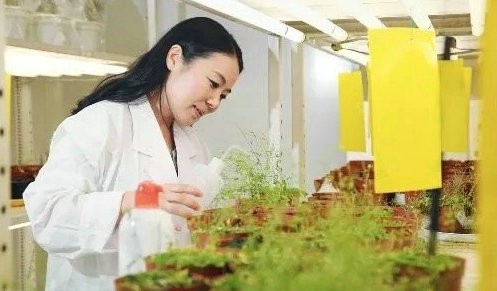 武夷山举办有机肥替代化肥试点县项目实施专家指导培训会的通知