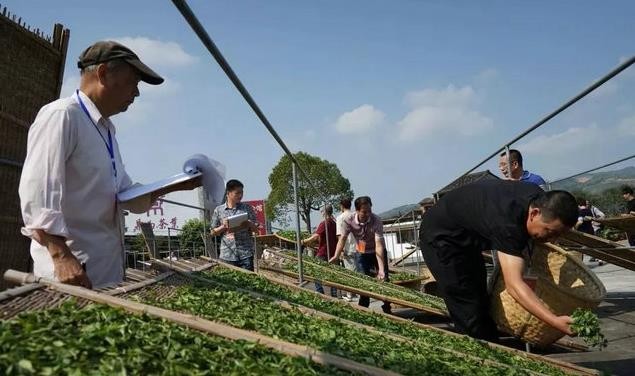 2018年10月8日，第二届福鼎白茶传统工艺制茶大师暨首届制茶能手评选在鼎白茶业公司火热开启。