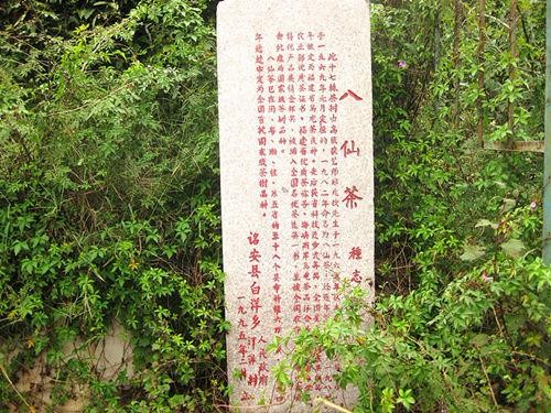 《诏安八仙茶》供销合作行业标准正式发布