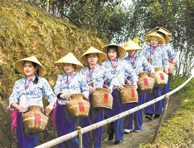 福鼎市点头镇翁溪村牛埕岗知青茶场举办茶旅文化节