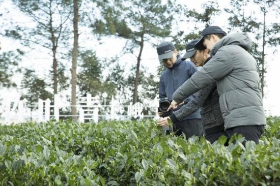 最强寻茶团Discovery探索频道，从一杯竹叶青探寻世界绿茶之源