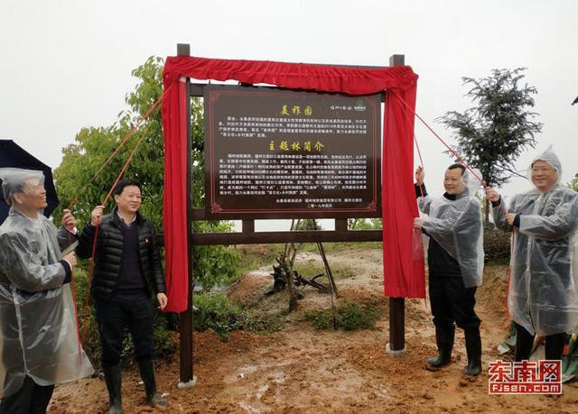 永泰县大力推动“茶旅融合，产业互动”，同安镇“茶文化+乡村旅游”的茶旅文化建设相得益彰