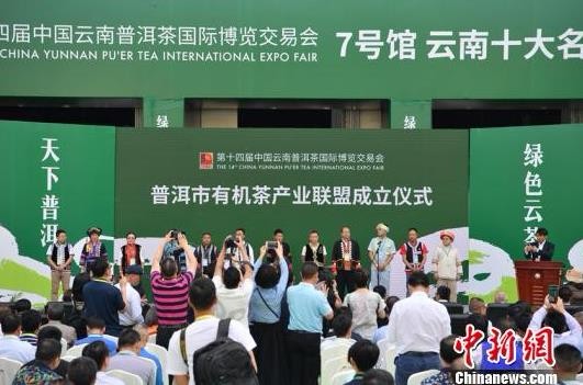 第十四届云南茶博会启幕 300余茶企觅商机