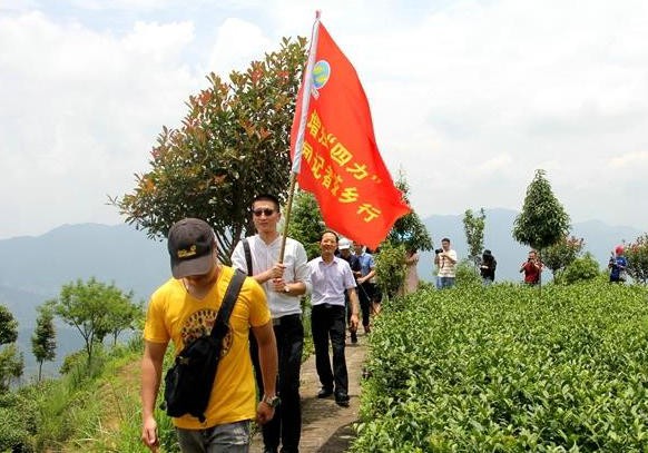 “泡”好漳州茶 漳州加快茶产业转型升级