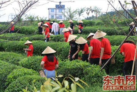 2019年“中国寻根之旅”夏令营福建师范大学营走进福州茉莉花茶