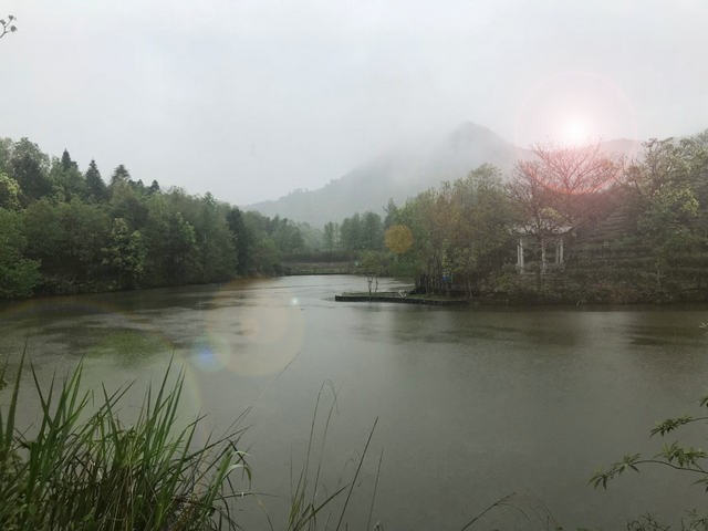 中国农业科学研究院茶叶研究所在松溪县调研茶产业