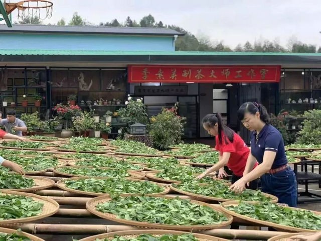 福建省10个茶叶技能大师工作室入选“2019年省级技能大师工作室名单”