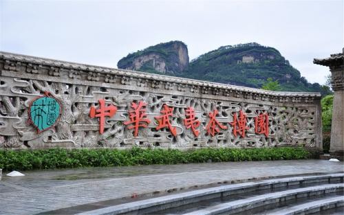 大红袍体验中心有序推进，助推茶文旅融合发展