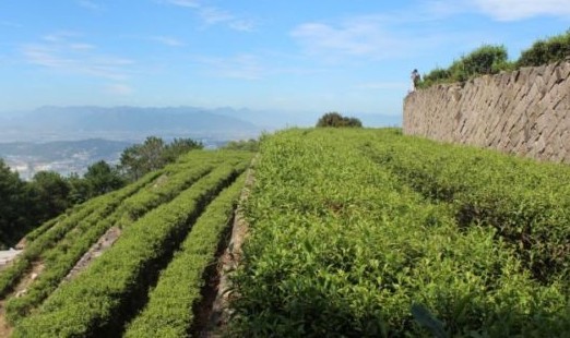 福州今年财政支出安排13.25亿元  ——实施乡村振兴战略