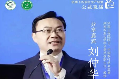 中国茶叶学会和中国农业科学院茶叶研究所联合举办“疫情下的茶叶生产经营”公益直播