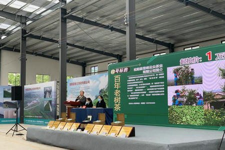 一场别开生面的茶商大会：人在屏幕外 茶香飘万里