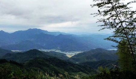 建瓯高历村：念好“茶经”谋脱贫