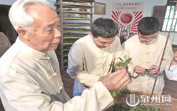 安溪：春茶采摘繁忙期 老茶人制茶授课过劳动节