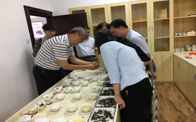 宁德师院举办首个“国际茶日”庆祝活动