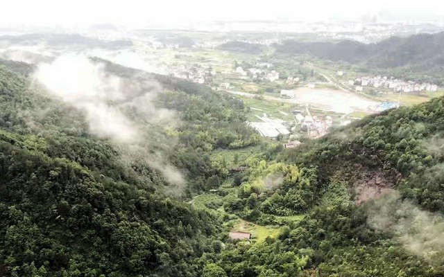 农业农村部印发关于促进贫困地区茶产业稳定发展的指导意见