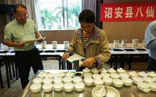 2020年诏安八仙茶(春季)茶王赛审评会举行