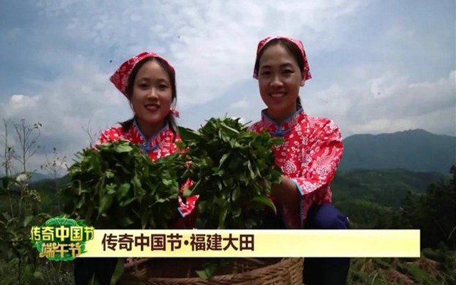 首届大田美人茶 --开茶节