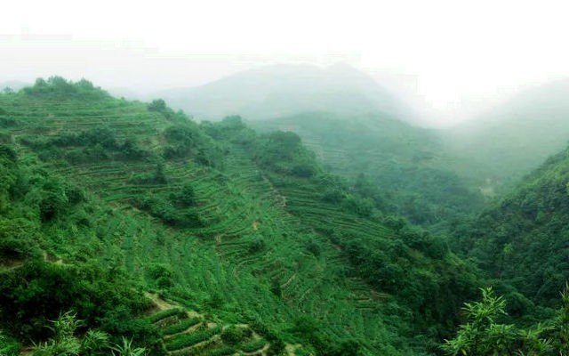 福建安溪县推动水土流失深度治理：治水保土 绿满茶山