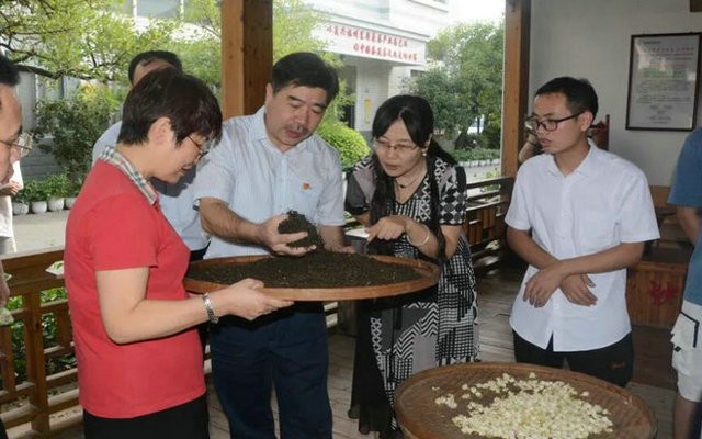 福建省人大检查春伦集团食安“一法一例”贯彻执行情况