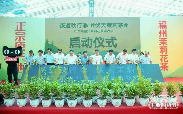 2020年福州茉莉花茶丰收节在永泰县春光村启动！