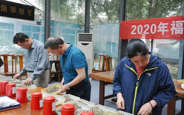 2020年福州茉莉花茶茶王出炉