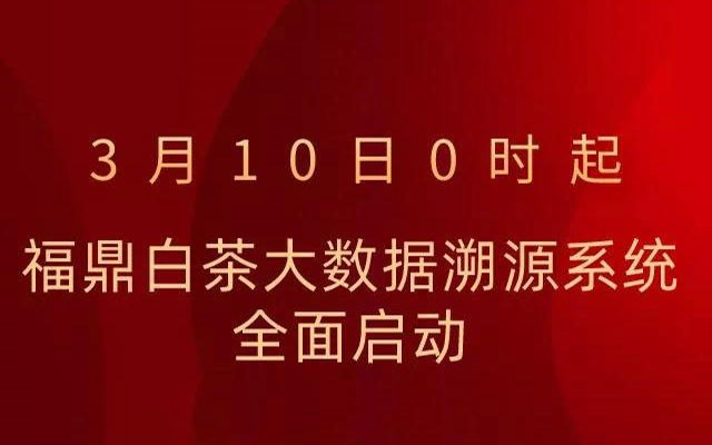 大数据溯源系统倒计时1天！福鼎白茶大数据溯源系统十问十答！