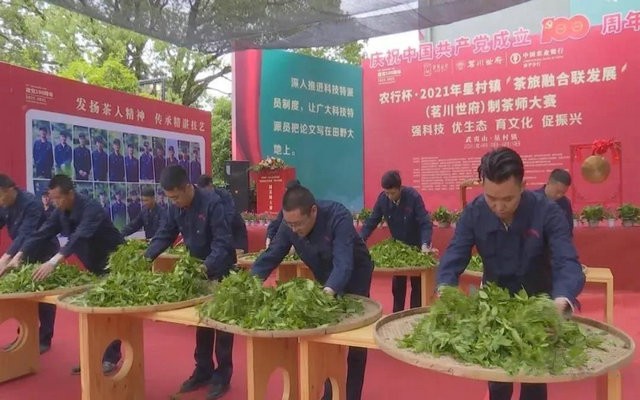 制茶高手“茗战”开启制茶季