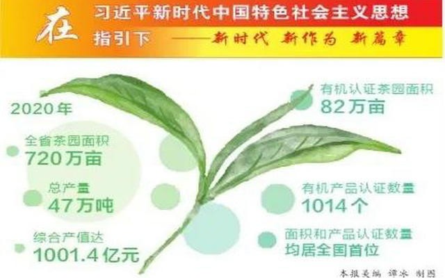 云茶产业实现综合产值千亿元目标