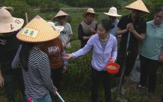 廖红团队《改良茶园土壤用大豆种植规范》 福建省地方标准正式发布