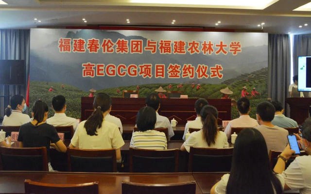 春伦集团与福建农林大学高EGCG项目正式签约啦！