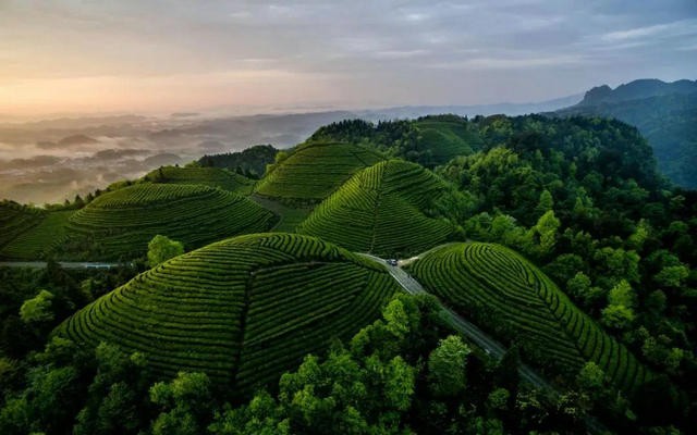 来，在湄江河边泡一壶“相遇太美”，抵御秋寒！