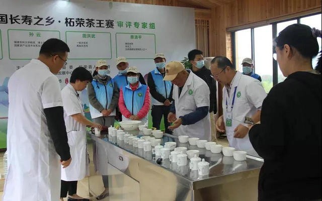 福建省宁德市柘荣县举办“柘荣高山白茶”茶王赛