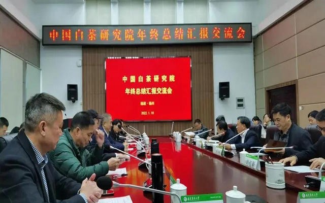 中国白茶研究院年终总结汇报交流会召开