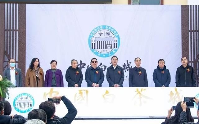 践行“三茶”理念 做强政和白茶： 中国白茶城天津城市服务中心启动运营