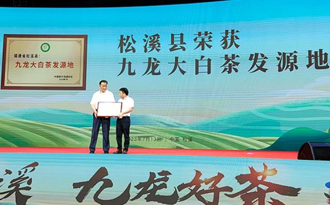 第四届中国茶商大会在福建松溪举办