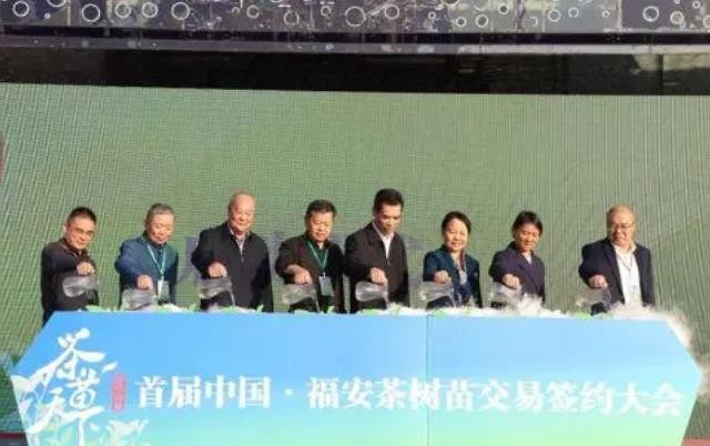 首届中国·福安茶树苗交易签约大会举行