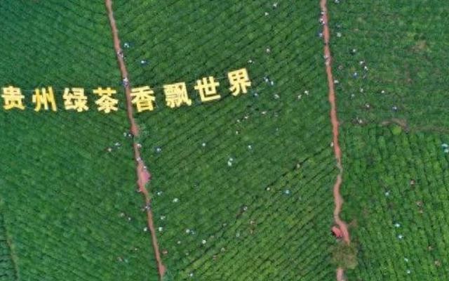 贵州省人大代表黄其兴：倾力打造“普安红”茶品牌 提升乡村产业发展质效