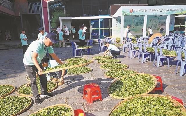 漳台茶农茶艺技能“大比拼”