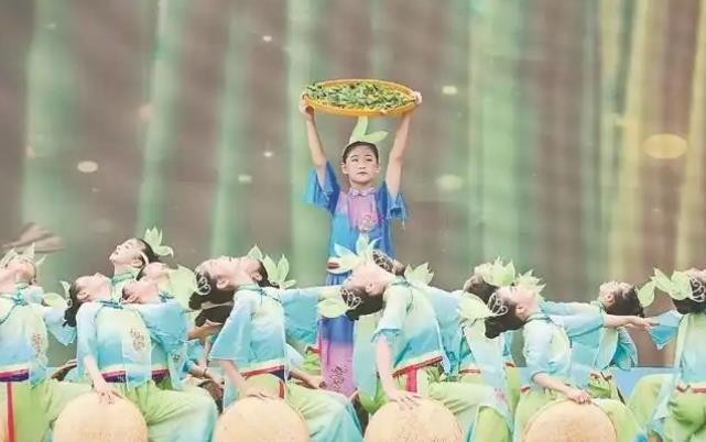 2025安溪铁观音开茶季启幕
