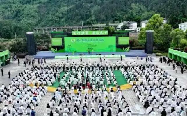 多国专家：“年轻化”是中国茶出口的突破口