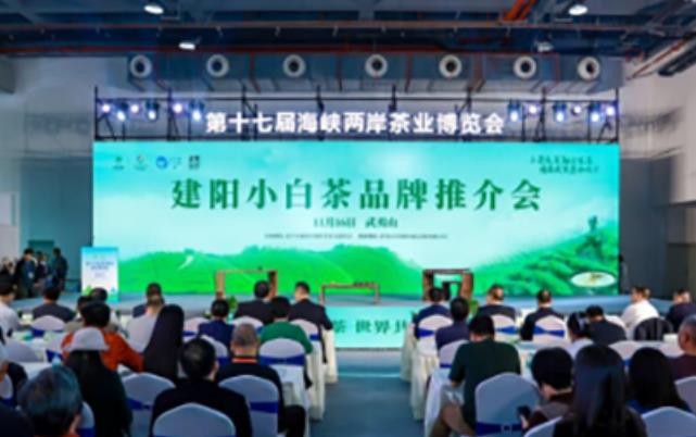2025年建阳小白茶品牌推介会举行