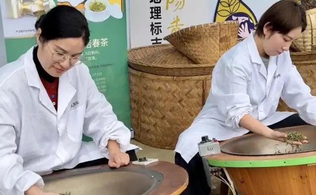 春风起浙里 茶香满乾坤