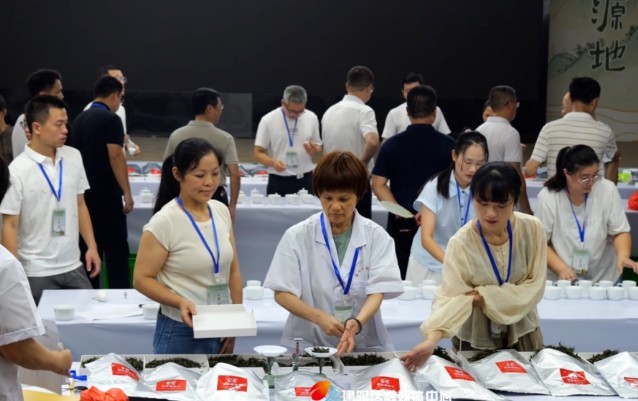 建阳：300多份茶样同台比拼 “茶王”花落谁家