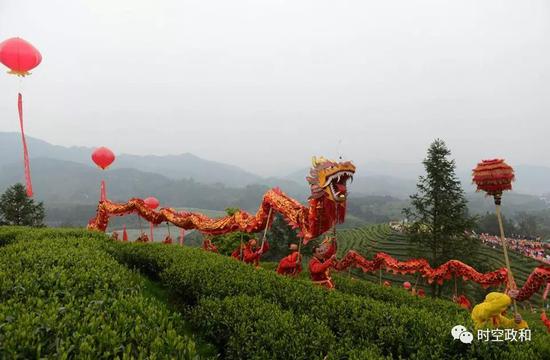 两条祥龙飞舞在凤头村连绵茶山